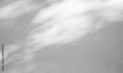 Minimalist white wall with soft natural light shadows. Aesthetic texture background for product mockup.