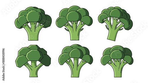 Fresh Green Broccoli Florets Collection Healthy Vegetable Illustration.