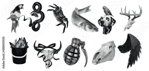 Haftoon Effect Animal Symbol Collage Illustration