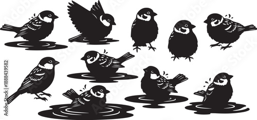 Black Silhouette Birds in Water Vector Illustration Set