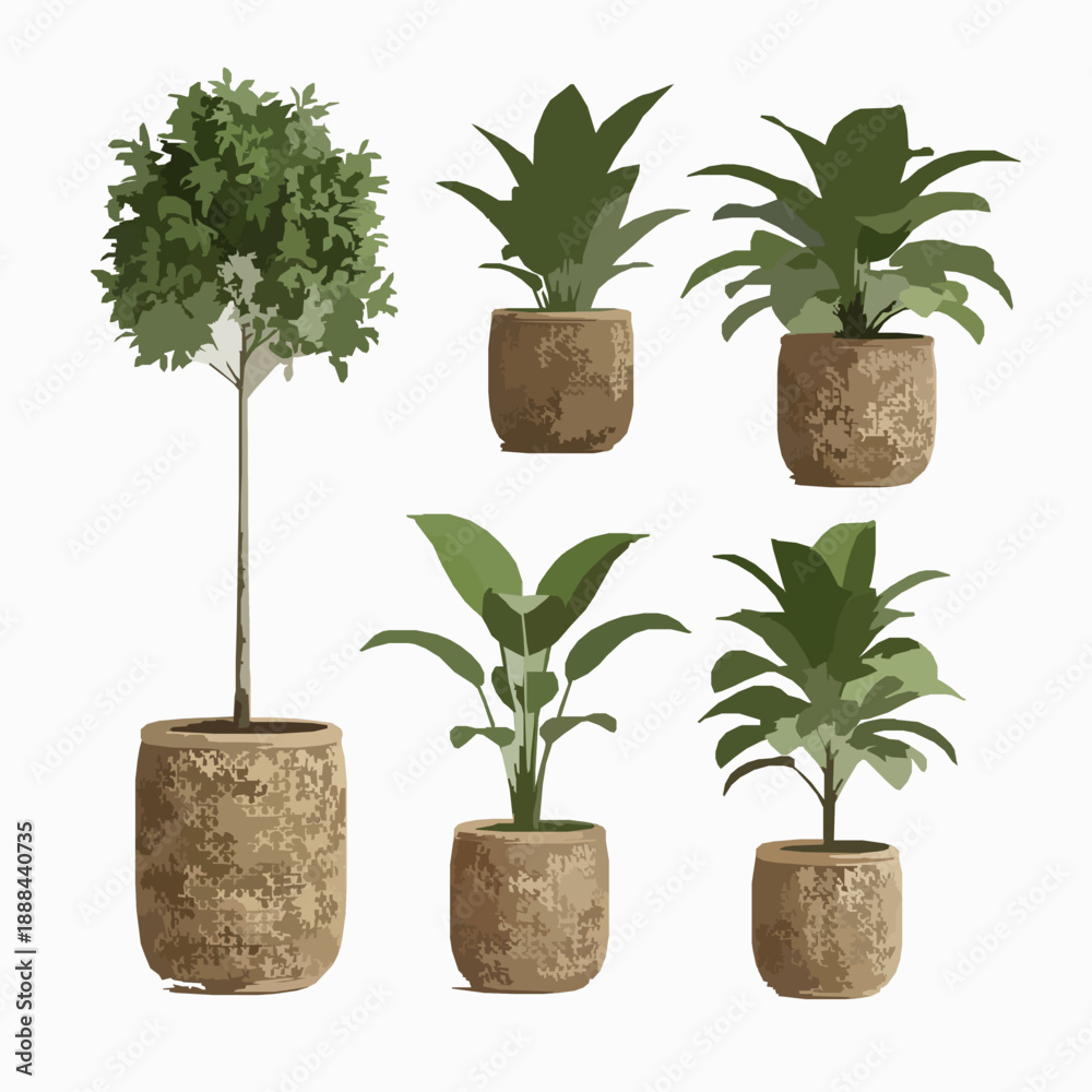 Fototapeta premium Decorative Potted Plants in Cane Planters Transparent PNG 3D Illustration Set