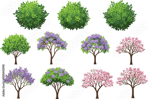Collection of green garden bushes flowering jacaranda trees and pink blossom shrubs for landscape design botanical illustration and architectural site planning projects isolated on white