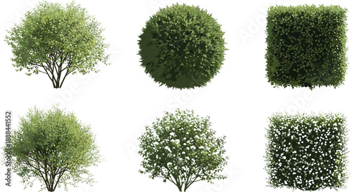 Collection of six green garden bushes and manicured hedges in various shapes including round and square isolated on white background for landscape design and architecture