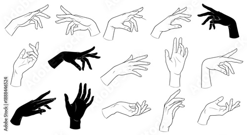 Collection of Elegant Art and Silhouette Hand Gestures Vector Illustrations