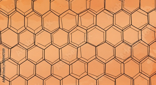 Geometric orange backdrop with a hand-drawn honeycomb pattern in black outline