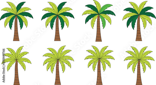 Set of cartoon palm trees vector illustration, tropical summer coconut tree collection for beach landscape design