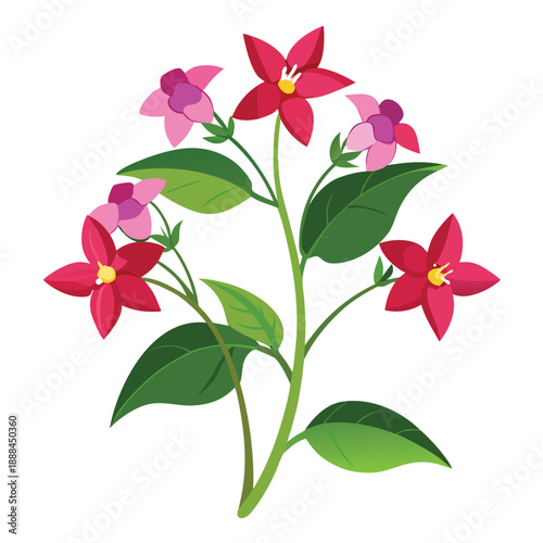 anagallis minima flowers with branch