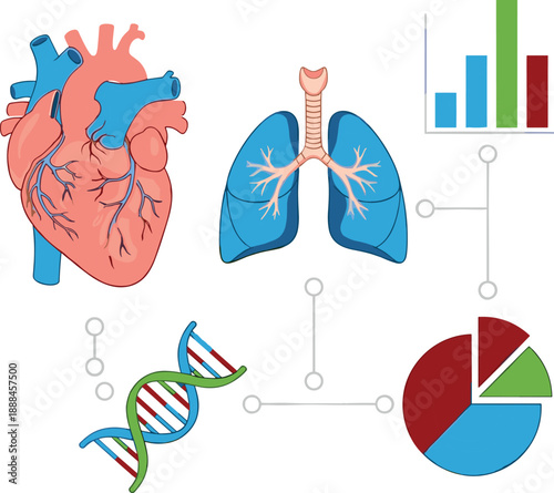 Medical analytics illustration combining human heart, lungs, DNA helix and data charts, representing healthcare research, diagnostics, biotechnology, cardiopulmonary analysis, and modern medical