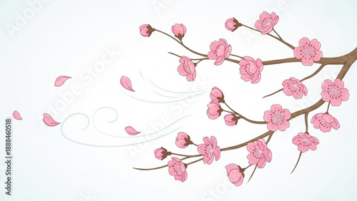 Pink Cherry Blossoms on Brown Branch against White Background