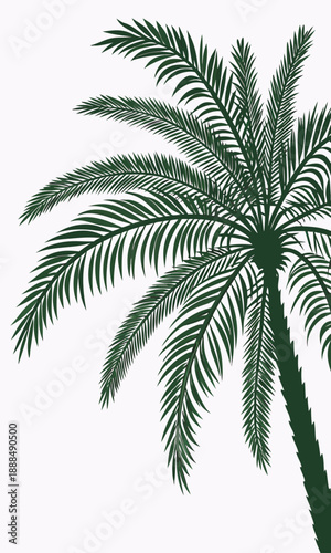 Palm Tree Silhouette Tropical Green Design Element.