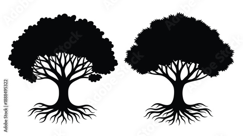 Two detailed tree shapes against a white background a striking silhouette