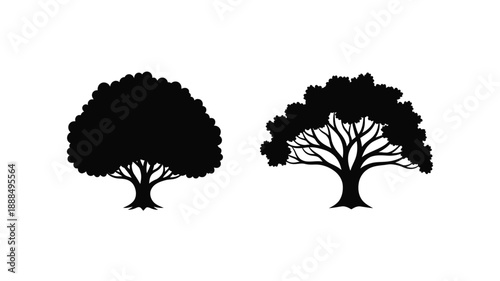 Two trees depicted in contrasting black forms a striking silhouette