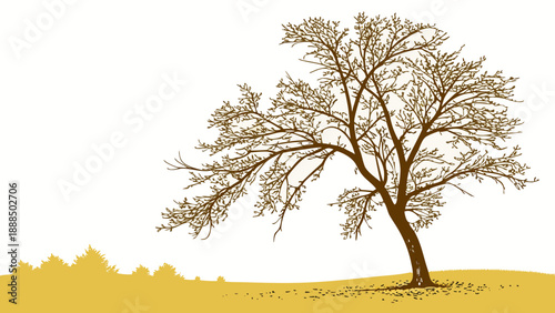 Bare Tree in Winter A Stark Beauty of Natures Cycle.