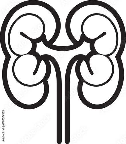 Kidney line art icon representing urinary system organ and health function on transparent background