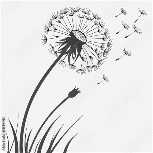 Dandelion Seeds Blowing in the Wind A Delicate Illustration.