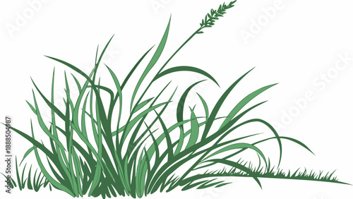 Illustration of Lush Green Grass with Seed Head.