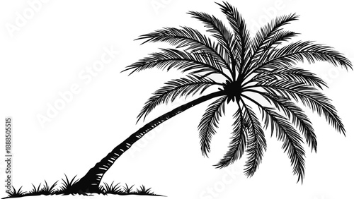 Palm Tree Silhouette Tropical Island Paradise Illustration.