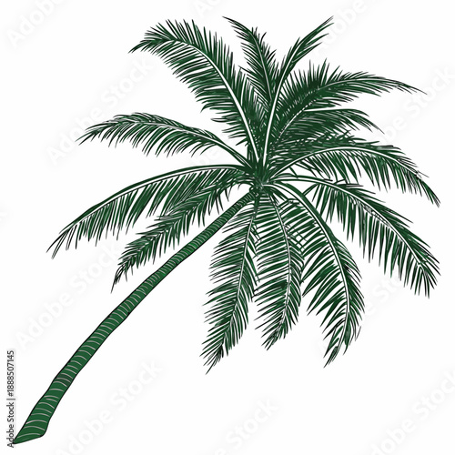 Illustration of a Leaning Palm Tree with Green Fronds.