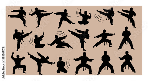 Silhouettes of people practicing martial arts in various dynamic poses.