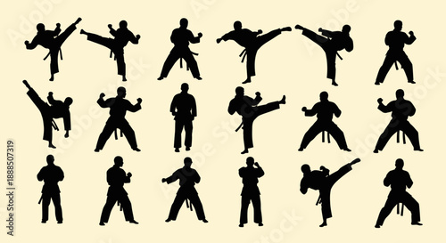 Collection of Martial Arts Silhouettes in Various Dynamic Poses.