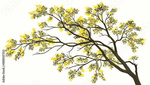Watercolor Tree Branch with Yellow Leaves Illustration.