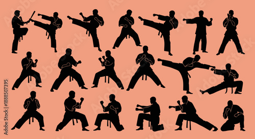Silhouettes of martial artists in various combat poses and stances.
