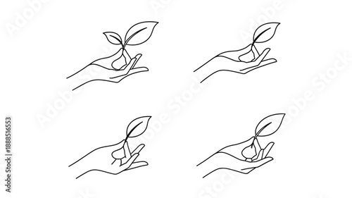 Hands holding leaves and plants a minimalist graphic silhouette