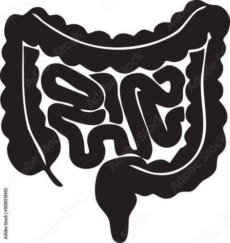 Stylized black and white illustration of the human intestines and colon, representing digestive health