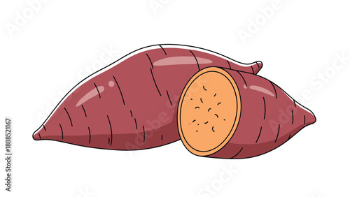 Whole sweet potato and a sliced half showing the vibrant orange interior are depicted in a detailed and appetizing food illustration.