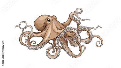 Detailed illustration of a large brown octopus with long suckered tentacles swimming on a white background.
