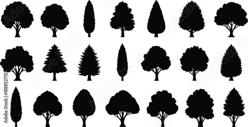 Diverse Collection of Different Tree Silhouettes Including Pine Deciduous and Cypress Shapes Isolated on White Background for Landscape and Nature Design