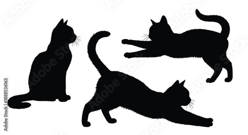 Three black cats in dynamic poses against a white background silhouette