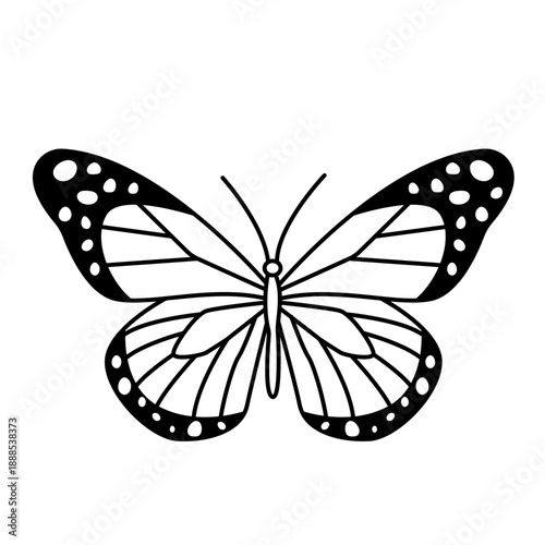 Vintage Butterfly Illustration with Classic Antique Aesthetic