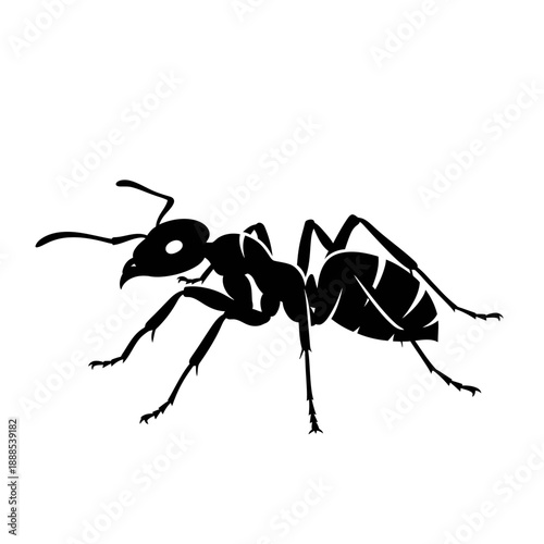 Silhouette of a crawling ant black vector shape on white background insect icon sharp details isolated