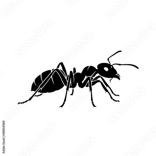 Silhouette of a Fire Ant Crawling Pest Icon Vector Illustration