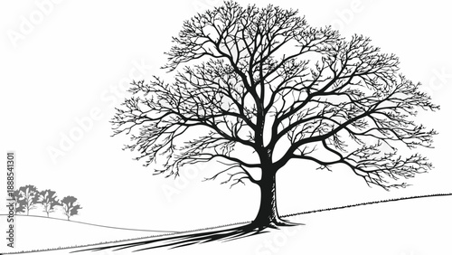 Bare Tree Silhouette on Hillside in Winter Landscape.