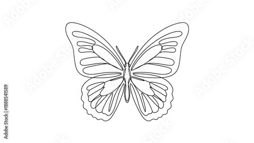 Minimalist butterfly line art, simple insect drawing, elegant outline graphic