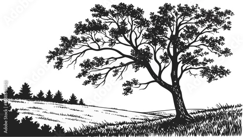 Detailed Tree Illustration on a Hillside with Forest Backdrop.