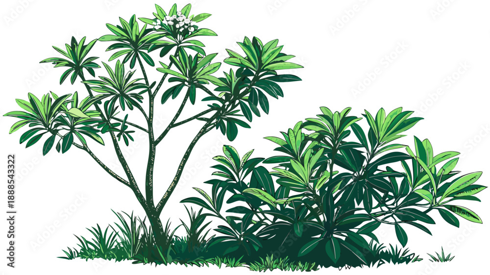 Fototapeta premium Lush Greenery A Vibrant Tree and Bush Illustration.