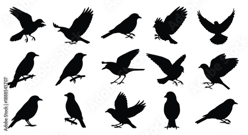 Elegant diamond ring with sparkling accents a striking silhouette