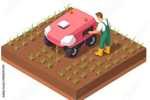 A farmer using a small red tractor in a field of crops