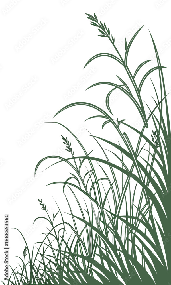 Fototapeta premium Elegant Grass Illustration on White Background for Design.