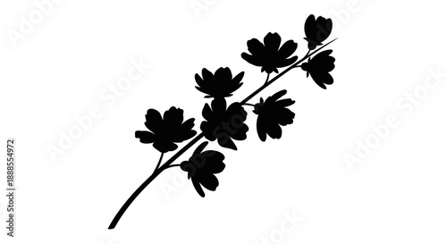 Elegant floral silhouette of blooming blossoms against a pristine white background illustration