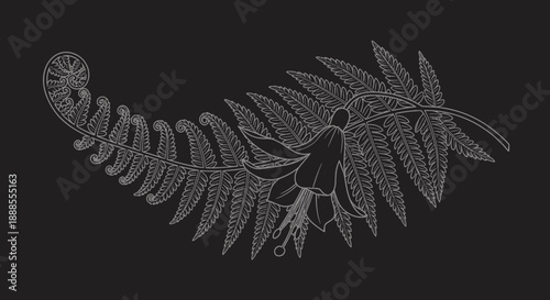 Elegant fern frond and fuchsia flower botanical illustration on a dark background design element