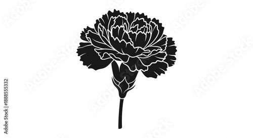 Elegant black and white carnation vector illustration with detailed petals and stem offering a