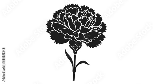 Elegant monochrome carnation flower illustration for graphic design and decoration needs
