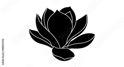 Elegant black and white minimalist magnolia flower illustration for creative design projects