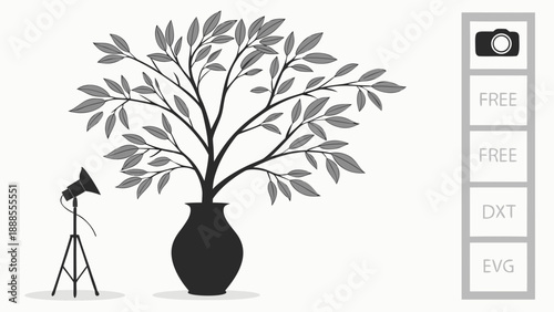 Silhouette of a Potted Plant with Studio Lighting.