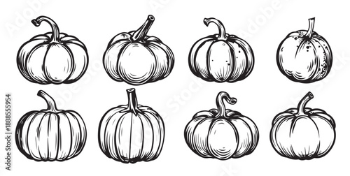 collection of graphic hand drawn ink pumpkins 