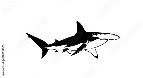 Striking Hammerhead Shark Illustration in Black and White for Marine Life Enthusiasts